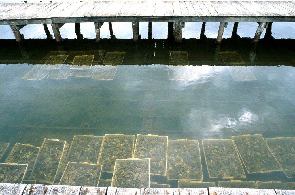 2000907k39.jpg
