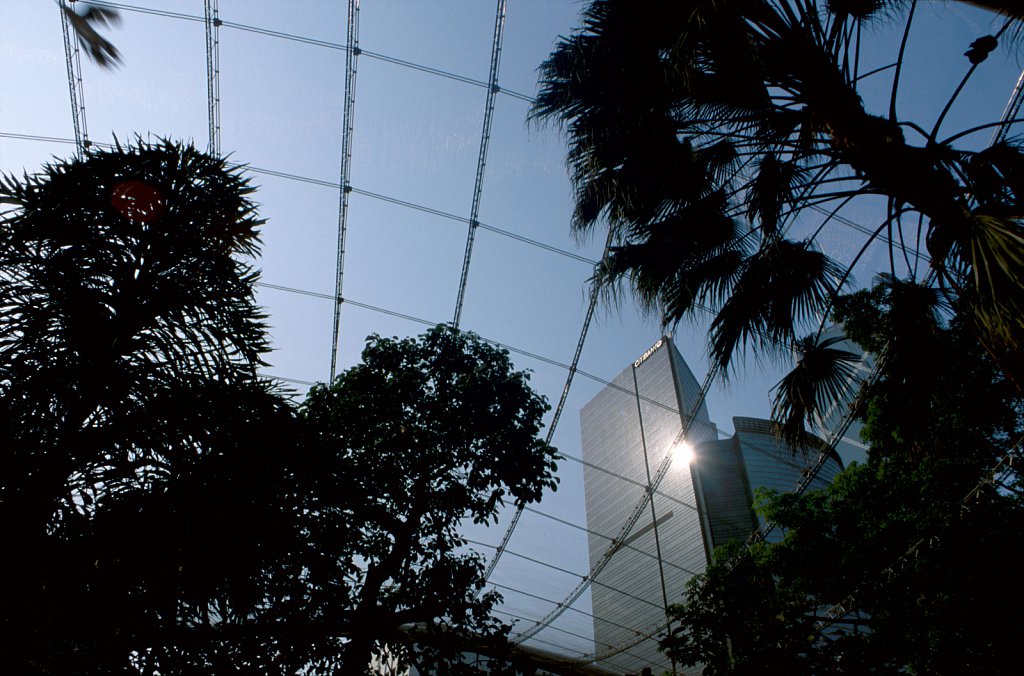 2010505k033.jpg